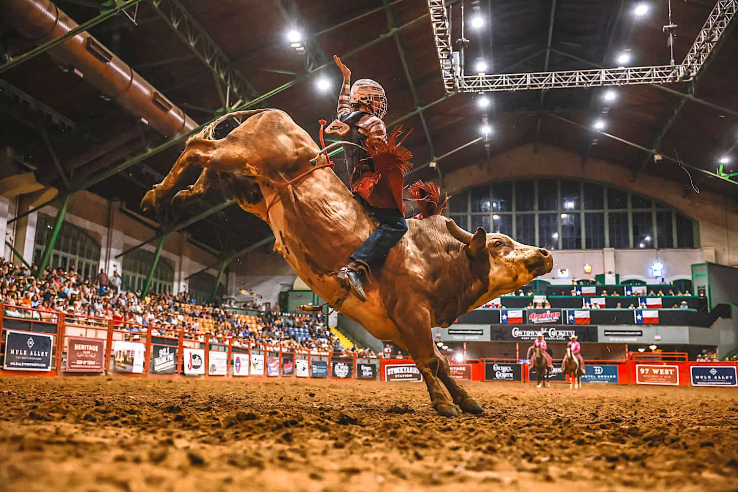 Bull rider in action at Stockyards Championship Rodeo